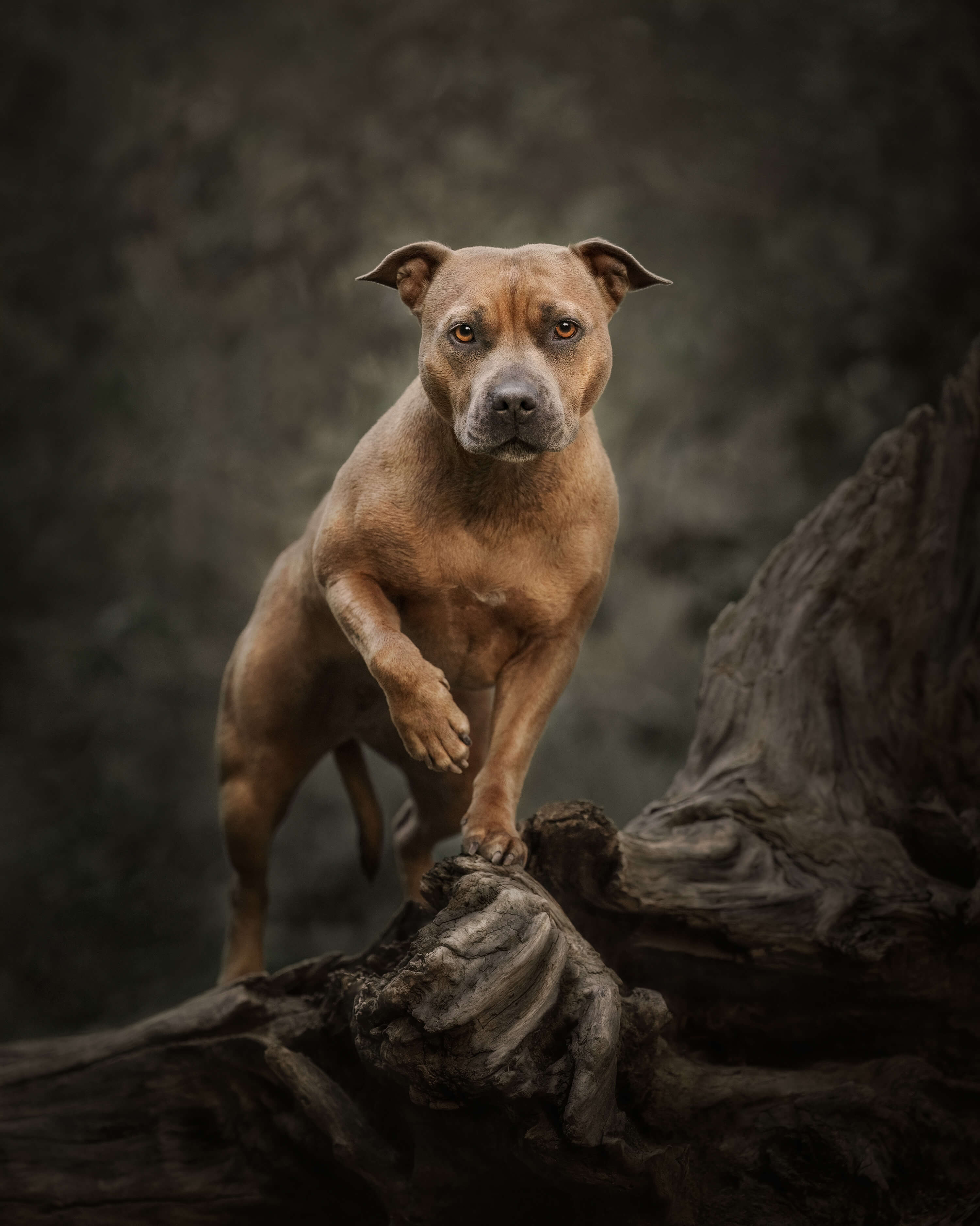 Sample of Zoe's photography work